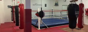 Simcoe Martial Arts Boxing Ring